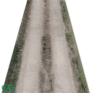 Dirt road 1